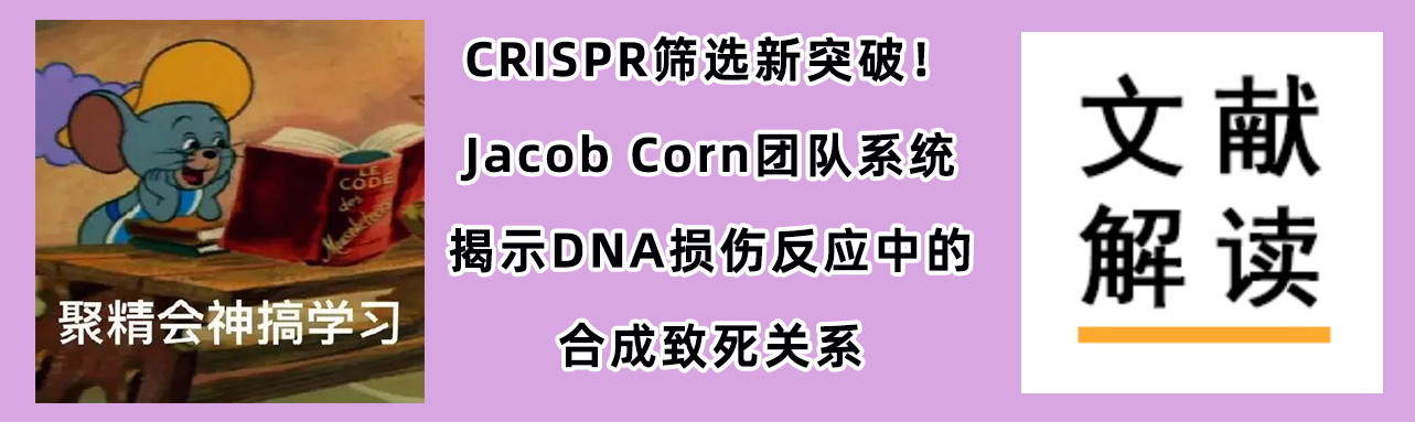 CRISPR筛选新突破！或能为癌症靶向治疗提供新的方向