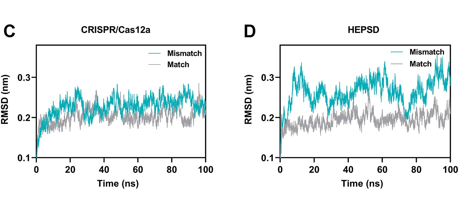 匹配或不匹配靶标的CRISPR/Cas12a (C)和HEPSD (D)进行MDs模拟的RMSD分析