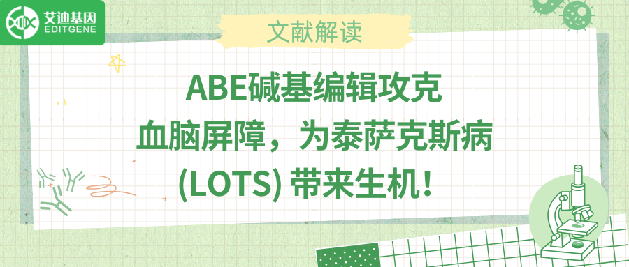 “基因手术刀”横空出世：泰萨克斯病迎来一次治愈希望