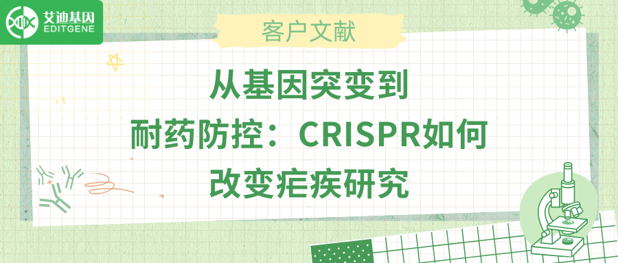 从基因突变到耐药防控：CRISPR如何改变疟疾研究