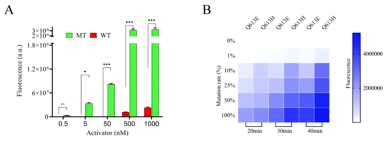 方法性能评价结果