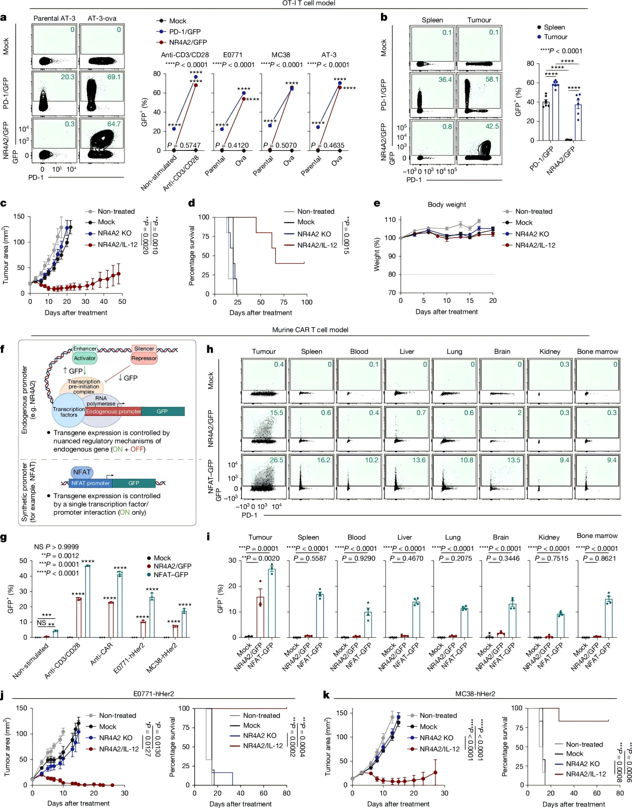 优异的耐受性和强大的抗肿瘤免疫反应