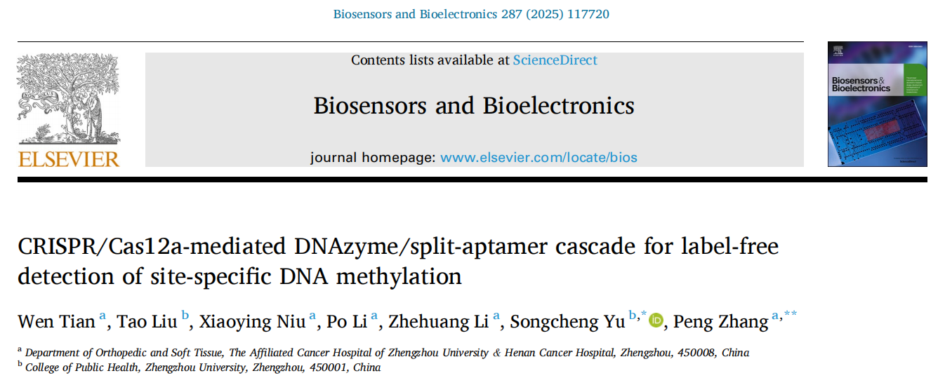 CRISPR/Cas12a-mediated DNAzyme/split-aptamer cascade for label-free detection of site-specific DNA methylation