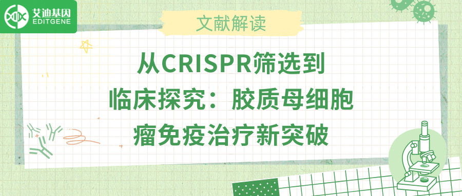 从CRISPR筛选到临床探究：胶质母细胞瘤免疫治疗新突破